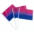 Bisexual